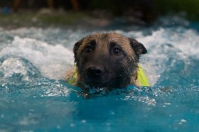 Hydrotherapie in Bielefeld